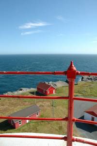 cape race